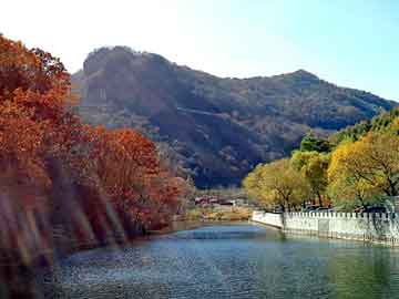 澳门二四六天天彩图库，飞仙路